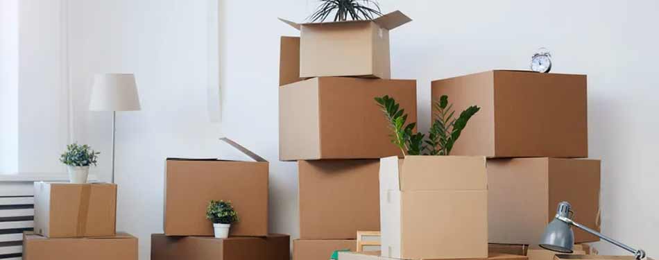 How to Select the Right Moving Supplies